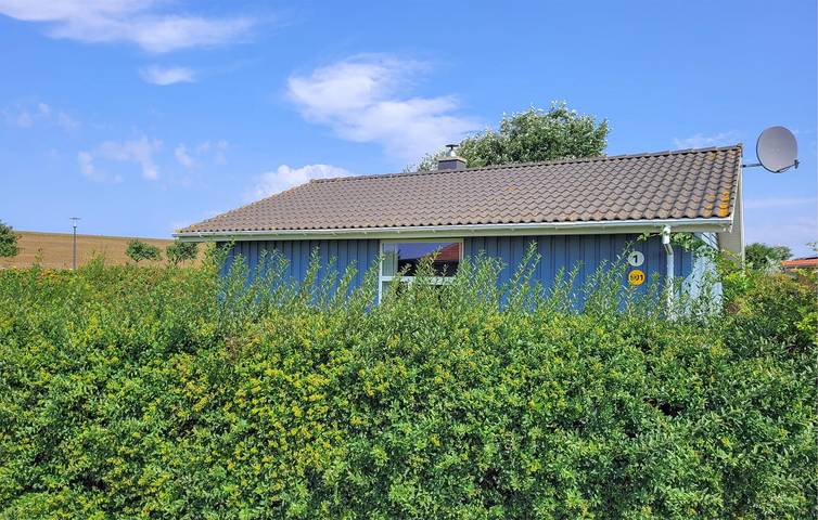 Ferienhaus für 6 Personen, mit Terrasse und Sauna in Friedrichskoog - 2