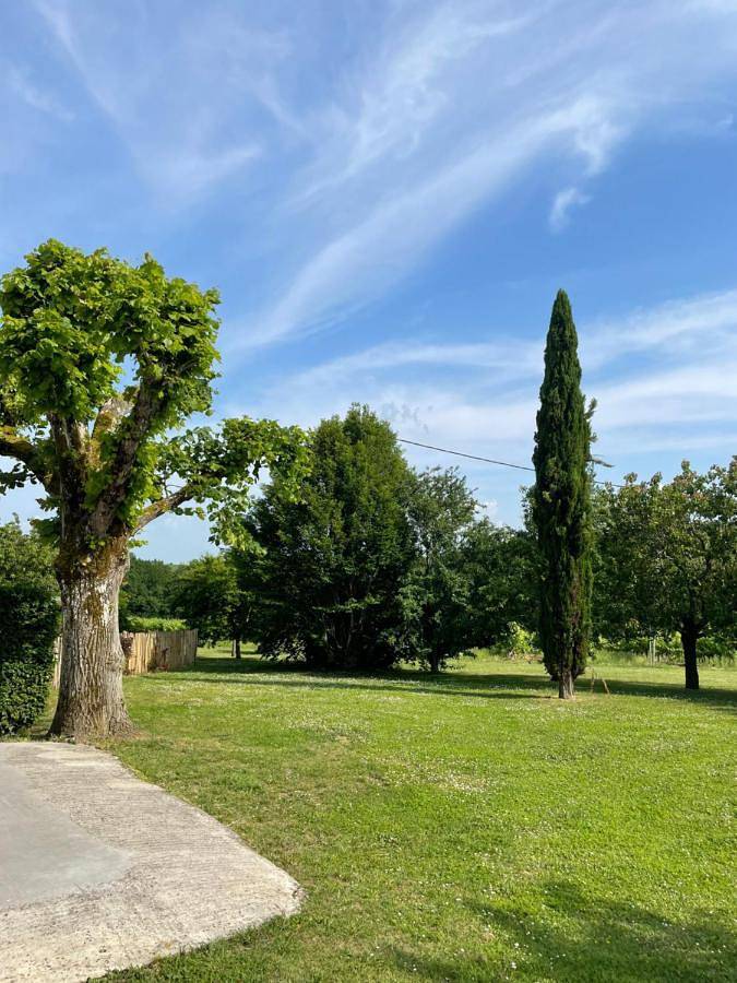 Location de vacances pour 8 personnes, avec piscine ainsi que vue et jardin à Massugas - 3