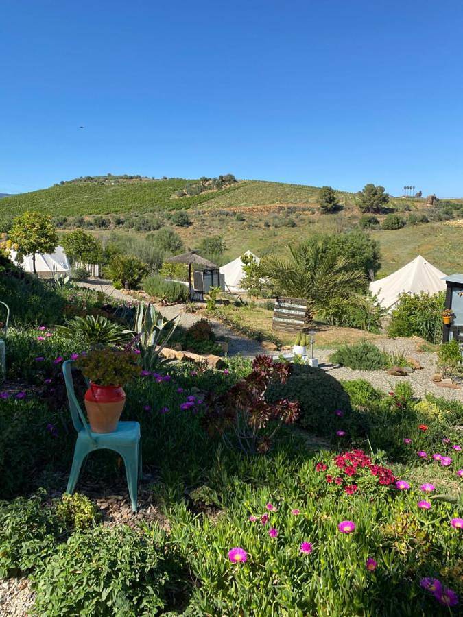 Glamping Bed and Breakfast Finca Alegria de la Vida in Pizarra, Cordillera Penibética