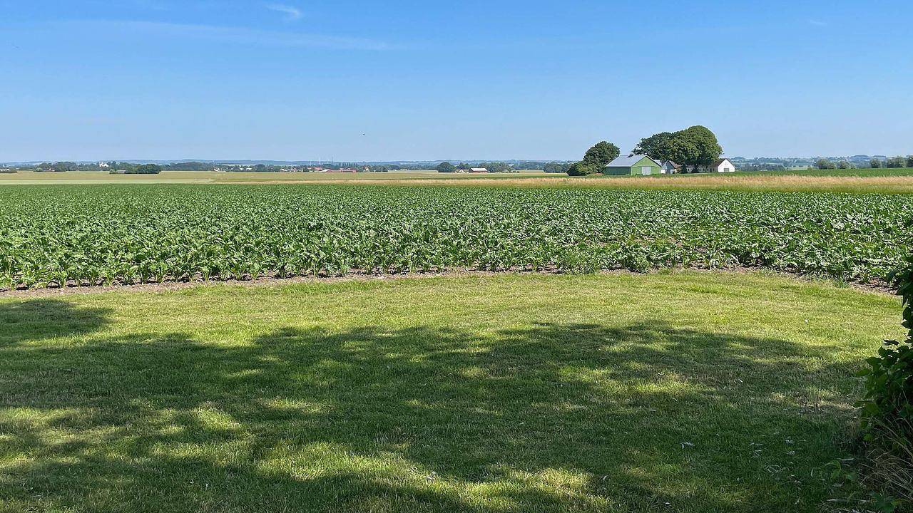Ferienhaus für 8 Personen (118 m²) in Skivarp in Skurup, Schwedische Ostsee