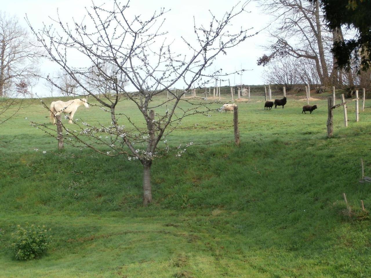 Gîte Bois Gaillard in La Flèche, Sarthe