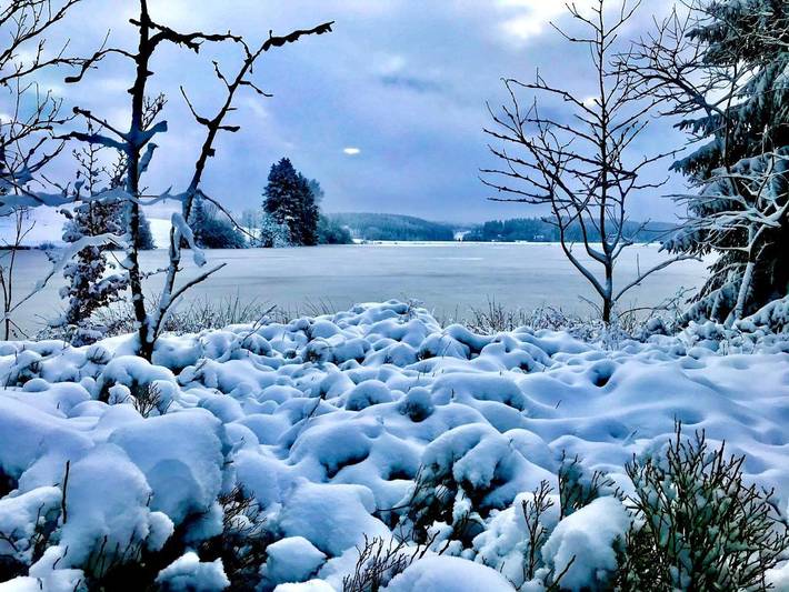 Ferienhaus für 8 Personen, mit Sauna und Ausblick sowie Terrasse, mit Haustier in Buntenbock - 4