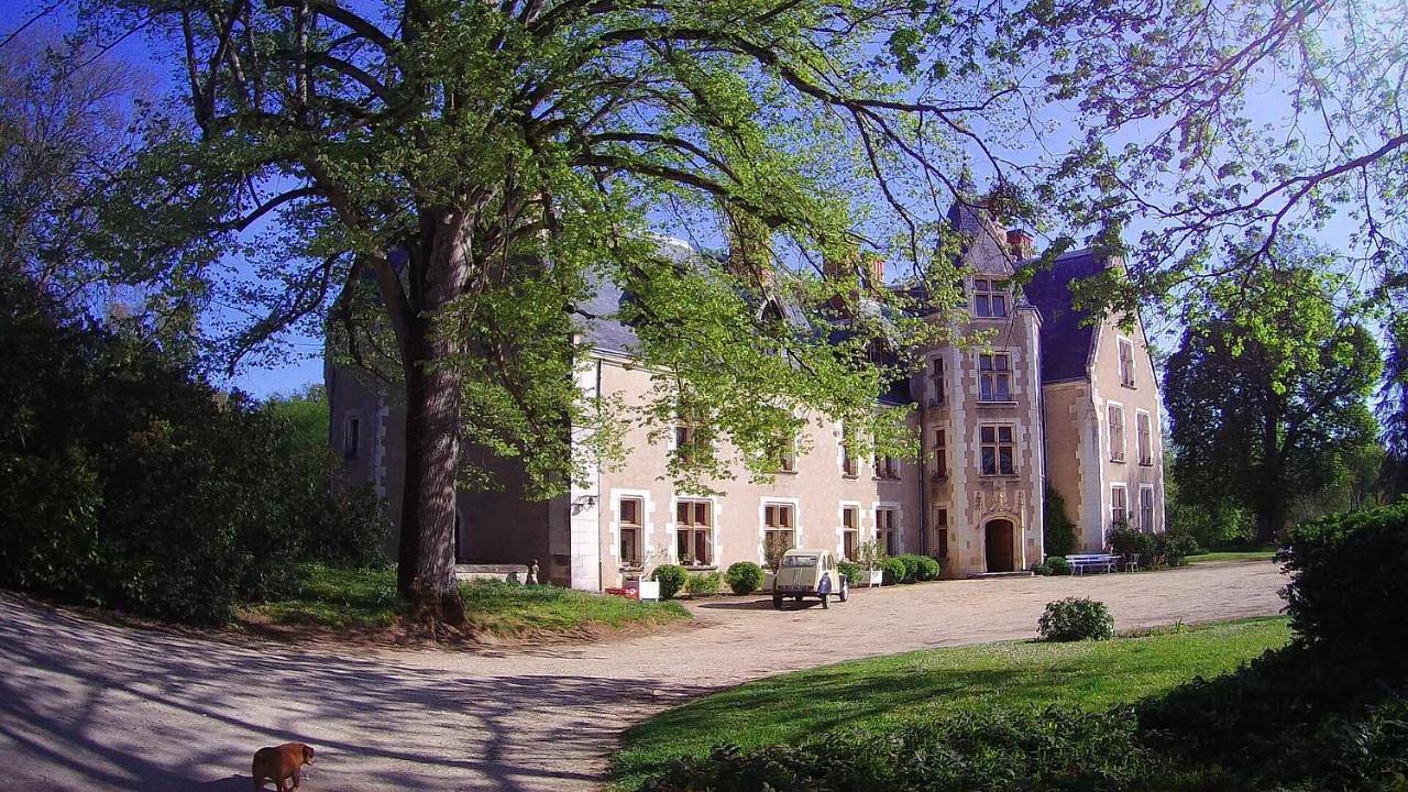 Chambre d’hôte pour 2 personnes avec jardin in Reboursin, Région d'Issoudun