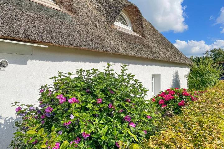 Ferienhaus für 4 Personen, mit Garten und Terrasse, mit Haustier in Lehe - 2