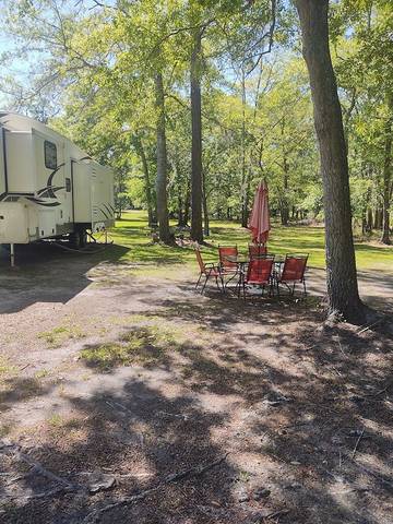 Camping for 4 Guests in Georgia, USA, Picture 4