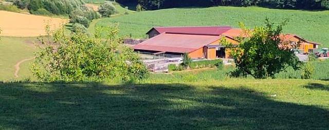 Ferienhaus für 4 Personen, mit Terrasse und Garten in Grafenau - 3