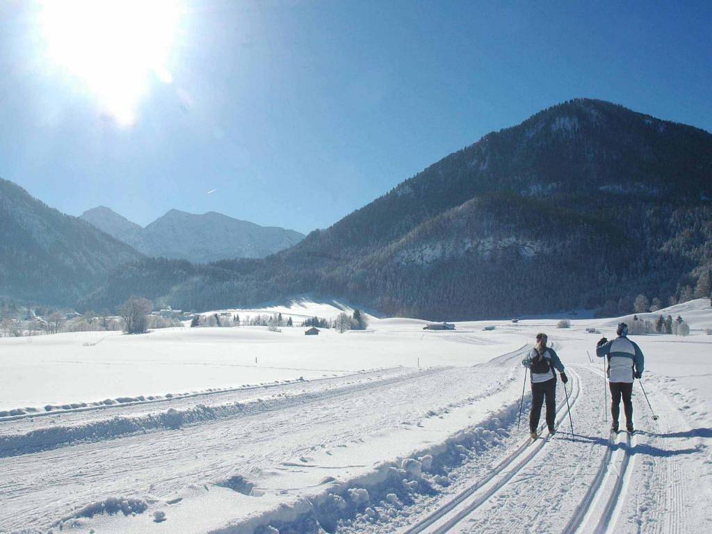 Ganze Ferienwohnung, Ferienwohnungen Hollweger inkl. Chiemgaukarte - 3 Appartement 23qm, Balkon, Kochnische, 1 Wohnschlafzimmer, max. 2 Pers, Wlan in Ruhpolding, Bayerische Alpen