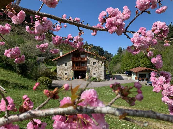 Casa rural para 5 personas, con Terraza y Jardín en Vizcaya - 4