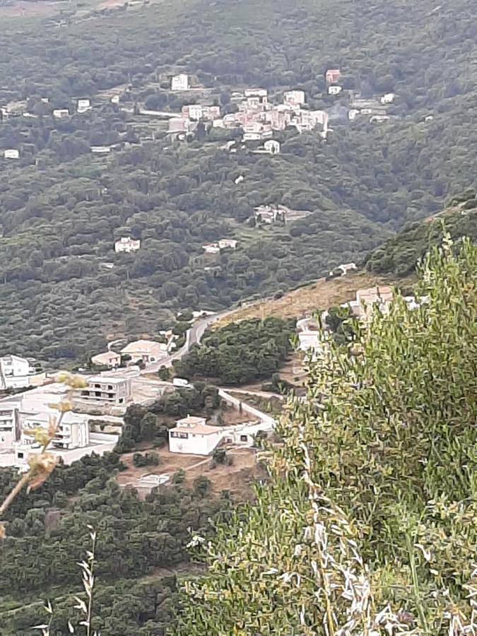 Ribellu in Bastia, Cap Corse