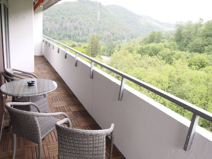 Ferienwohnung für 4 Personen, mit Balkon und Pool sowie Sauna in Bad Harzburg - 4