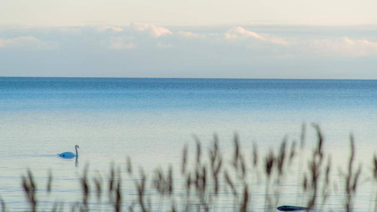 Villa Kuus Sõlme - Sea View Holiday Home in Kuressaare, Saaremaa