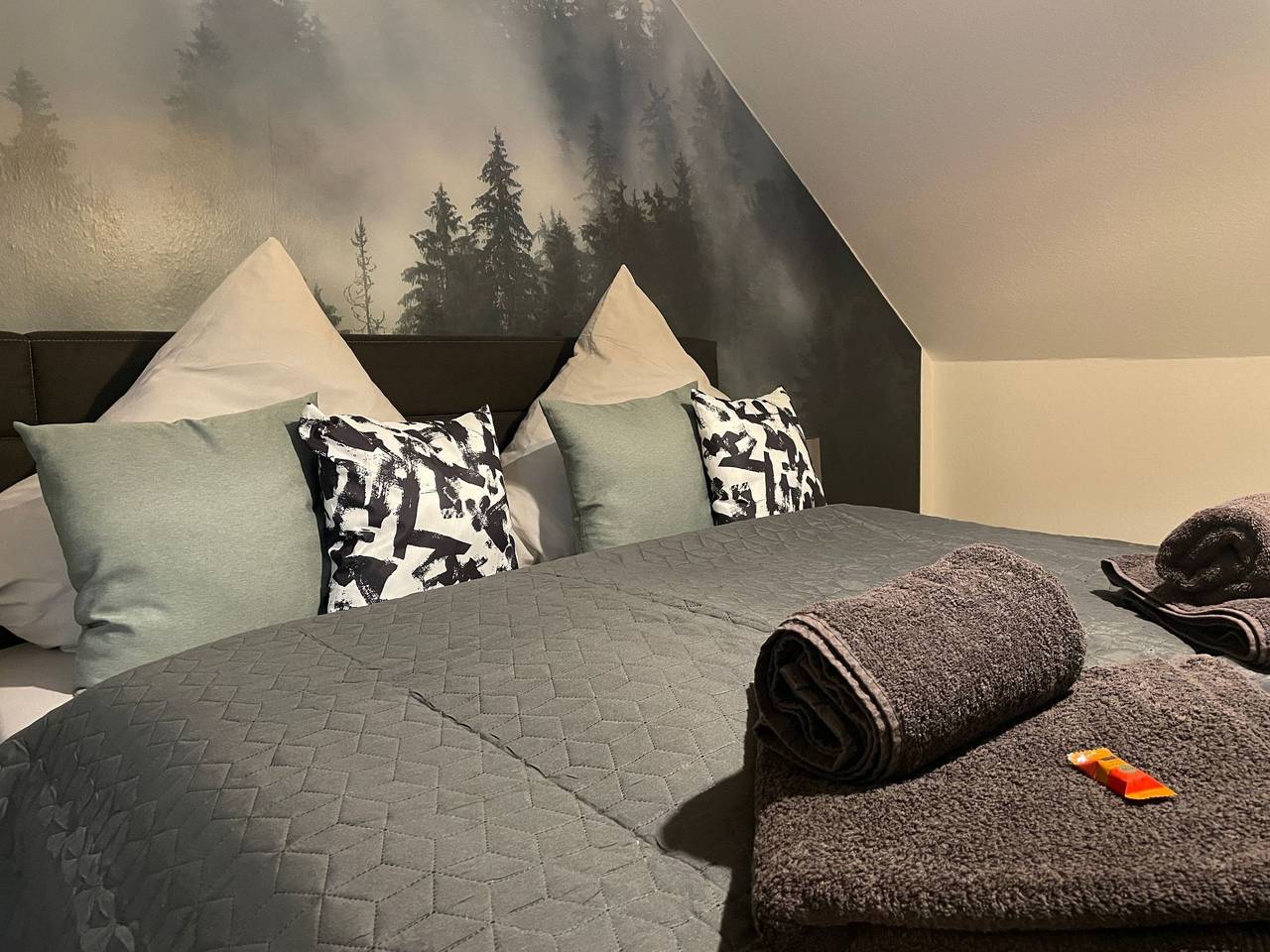 Ganze Wohnung, Psapartment am Pfälzer Wald nähe Outlet Center Zweibrücken in Pirmasens, Landkreis Südwestpfalz