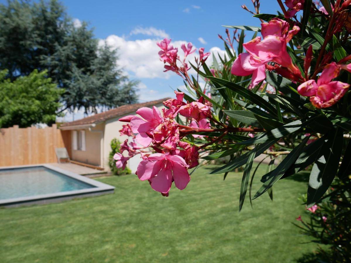 Appartement entier, Perfect Studio - au calme avec terrasse, jardin, piscine in Libourne, Région de Libourne