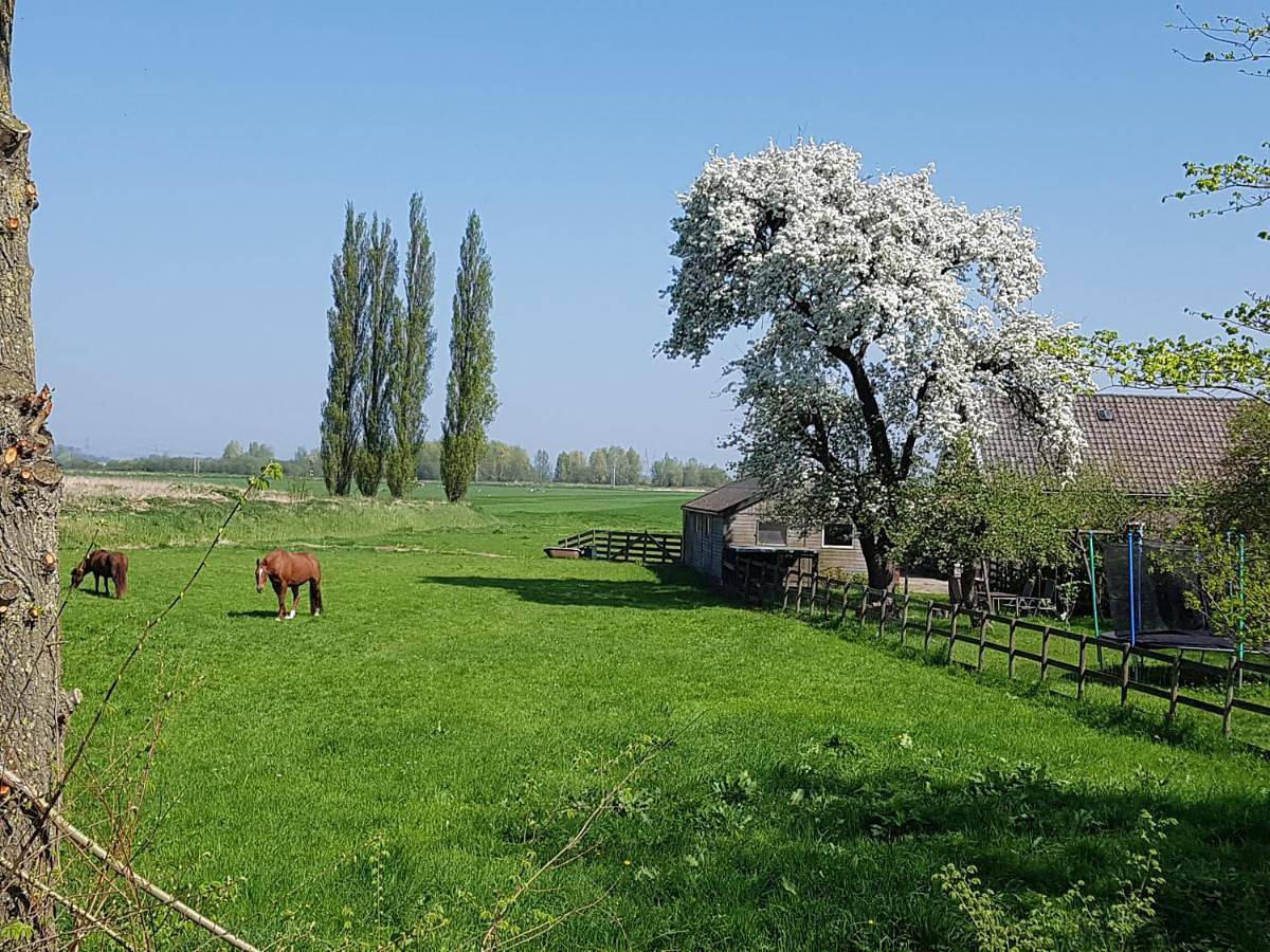 Het Voorhuis boerderij Hoeve Vrede Best in Weesp, Groene Hart
