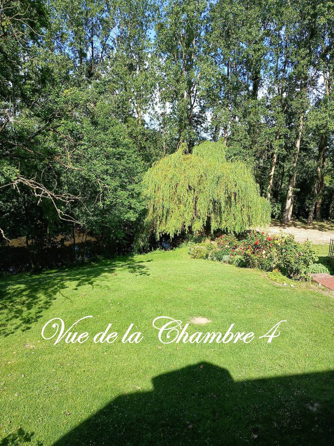 Bed & Breakfast 'Le Manoir Du Tertre' met gedeeld terras, tuin en wifi, foto 10