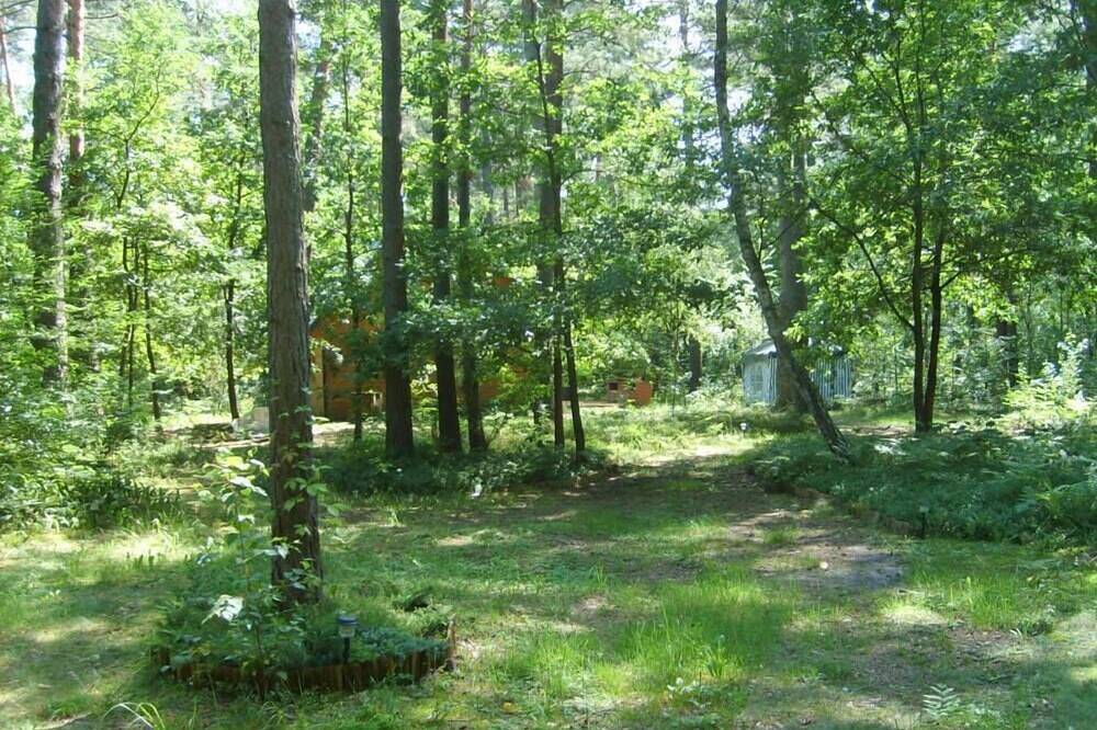 Wilga: country house in the heart of the forest in the south-east of Warsaw in Masovia