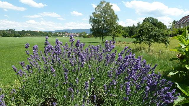 Ferienwohnung für 2 Personen, mit Balkon/Terrasse in Lindau - 3