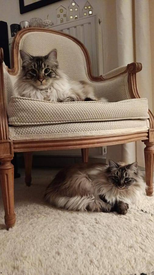 Chambre d’hôte pour 2 personnes, avec jardin ainsi que vue et terrasse dans Essonne - 2