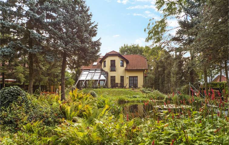 Ferienhaus für 8 Personen, mit Sauna und Garten sowie Ausblick und Terrasse, mit Haustier in Elster & Umgebung - 2