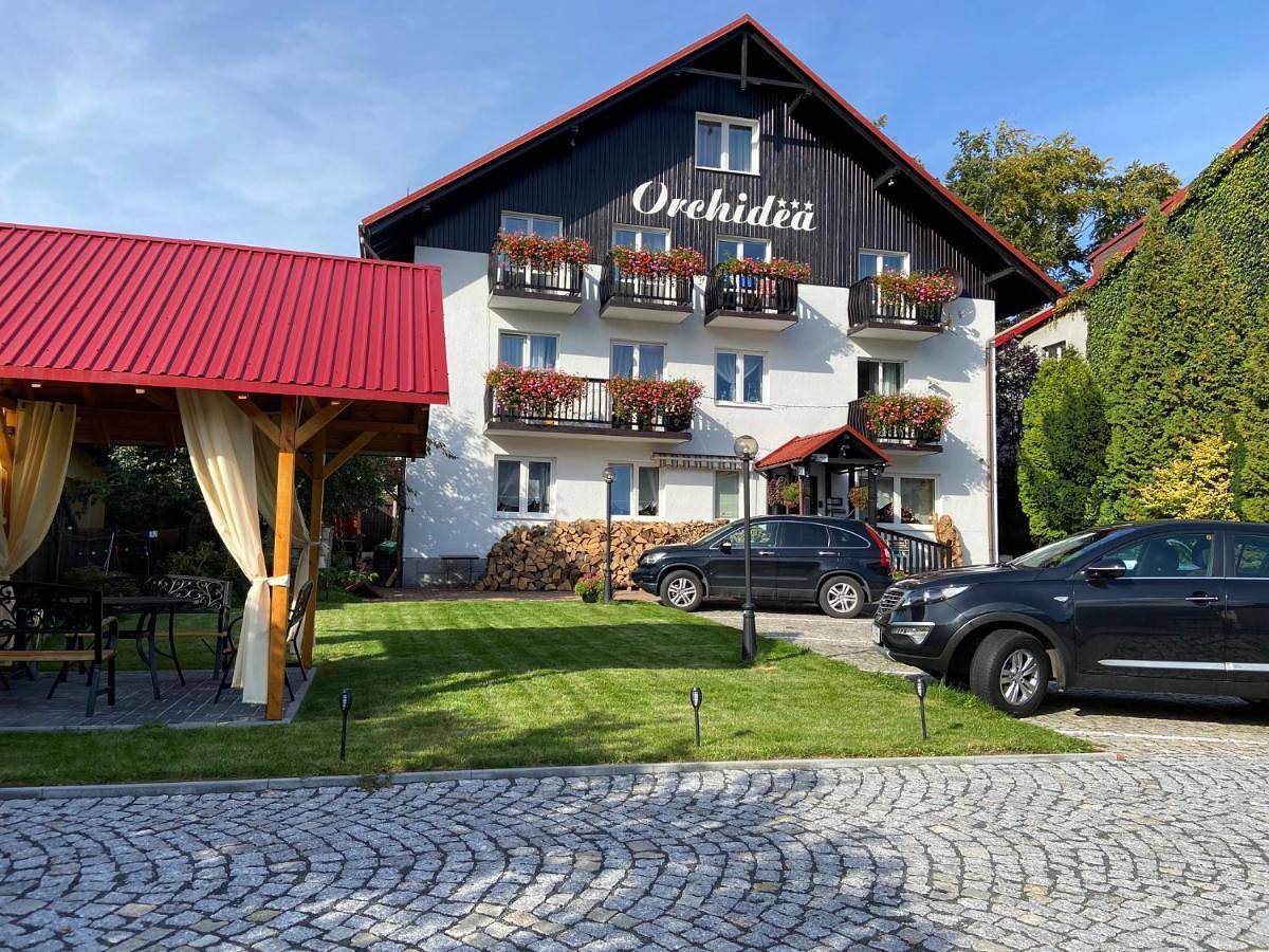 Orchidea in Szklarska Poręba, Sudety (Polska)