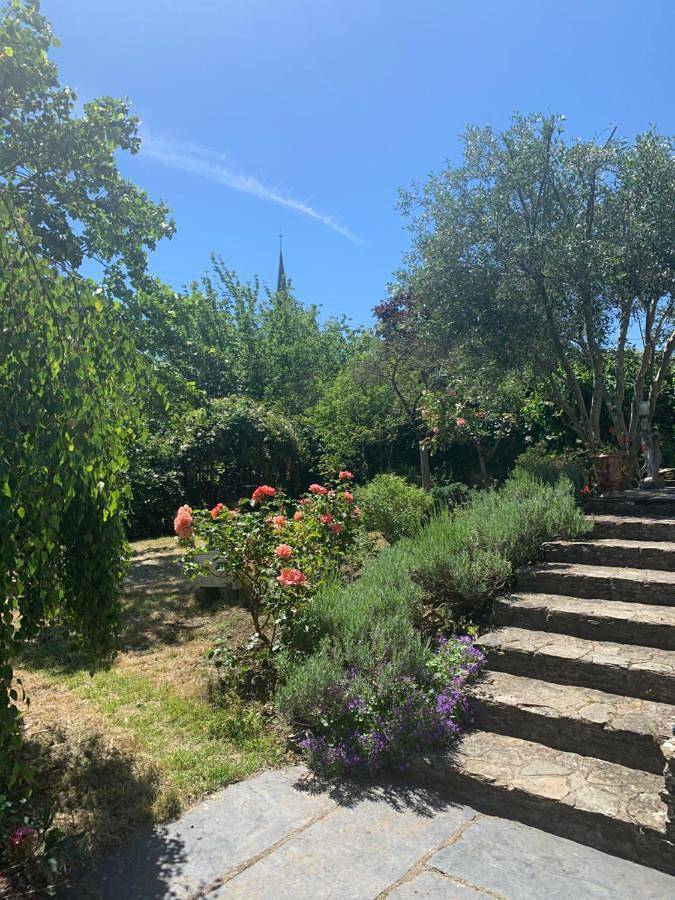 Location de vacances pour 3 personnes, avec vue ainsi que terrasse et jardin, animaux acceptés à Savennières - 3