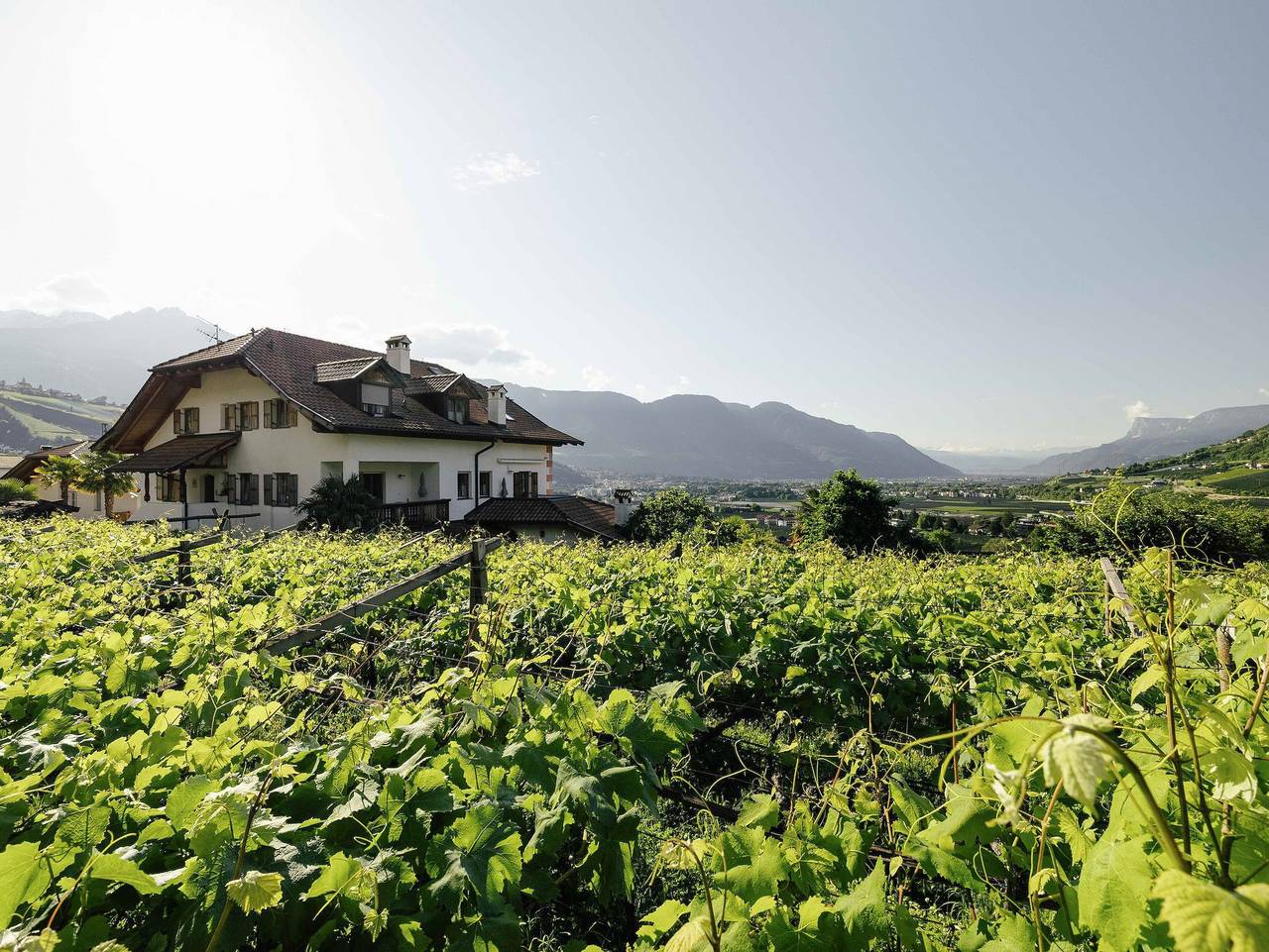 Ganze Ferienwohnung, Bauernhof Hofer am Bach - Ferienwohnung Vinschgau in Algund, Texelgruppe