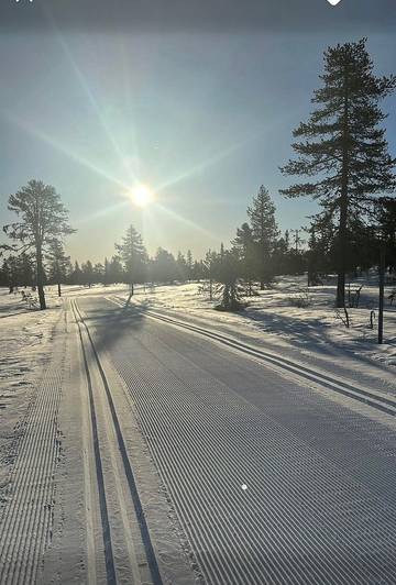Feriehus til 6 Personer i Ringsaker , Innlandet, Bilde 2