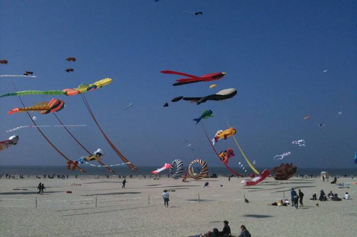 Location de vacances pour 8 personnes, avec jacuzzi et terrasse, animaux acceptés dans Berck-Plage