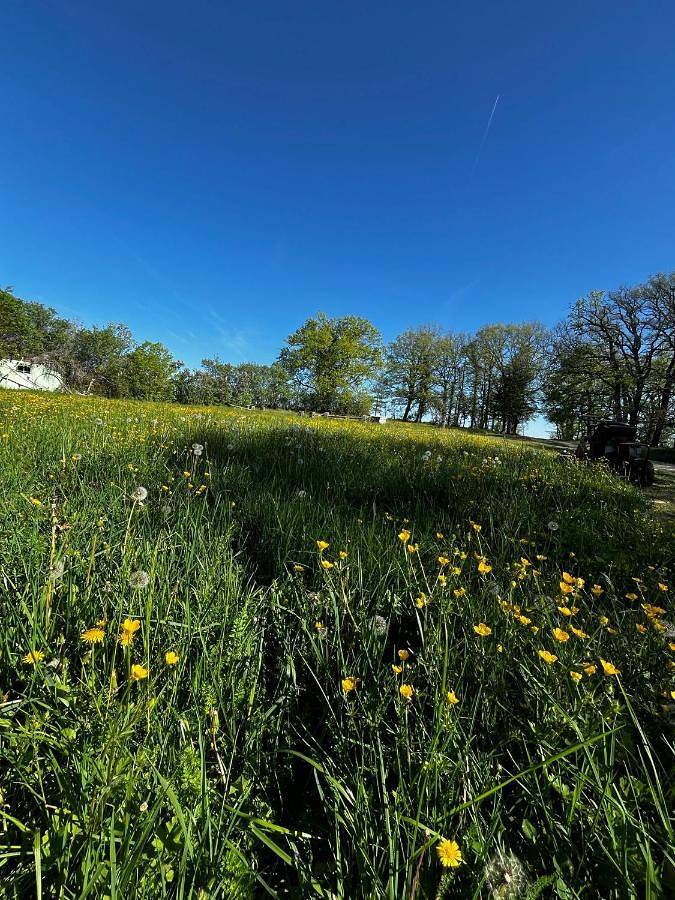 Location de vacances pour 8 personnes, avec jardin ainsi que terrasse et vue à Courbiac