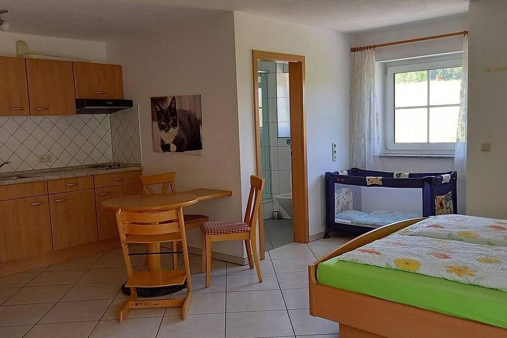 Ganze Wohnung, 1 Zi. Apartment Apfel - Ferienhof Metzler in Bodnegg, Region Bodensee-Oberschwaben