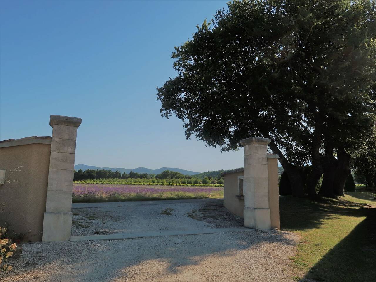 La Cardeline - La Cardeline 628.1 in Grillon, Enclave de Valreas