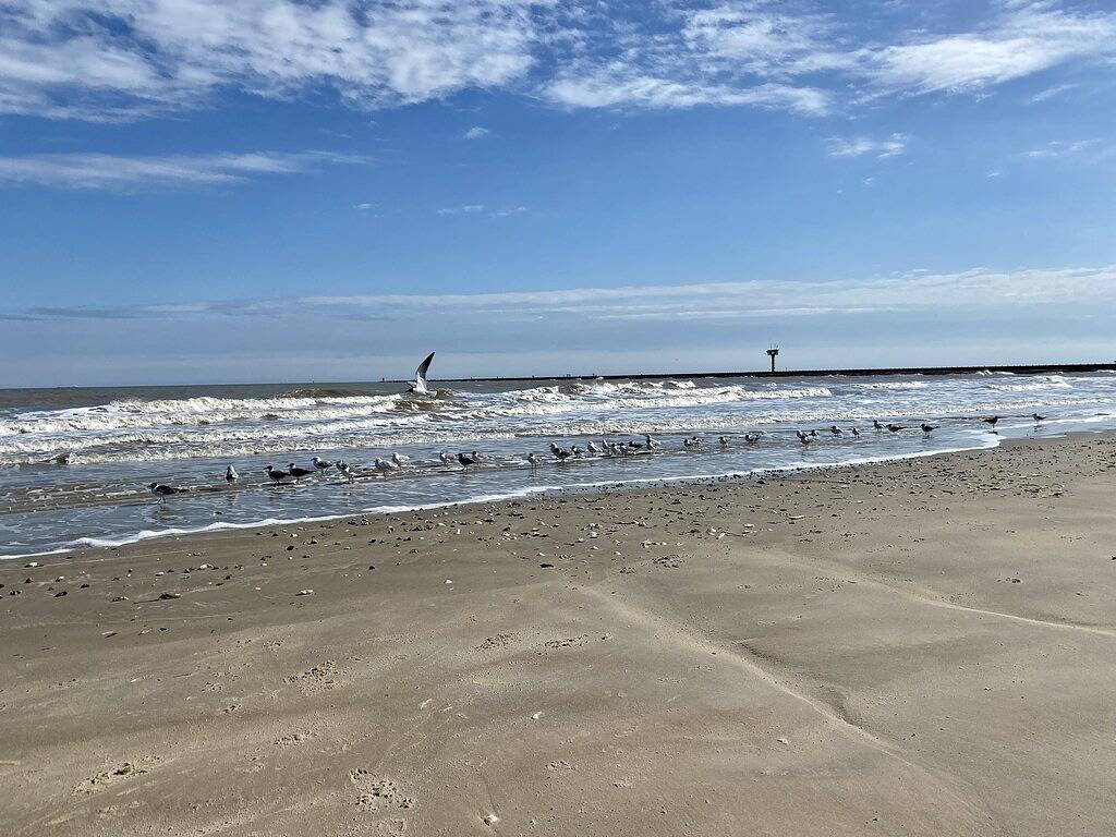 Come relax by beach, cozy cottage close to the beach & Jetty. Water views in Brazoria County