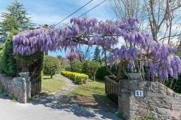 Location de vacances pour 5 personnes, avec vue et jardin à Santillana del Mar