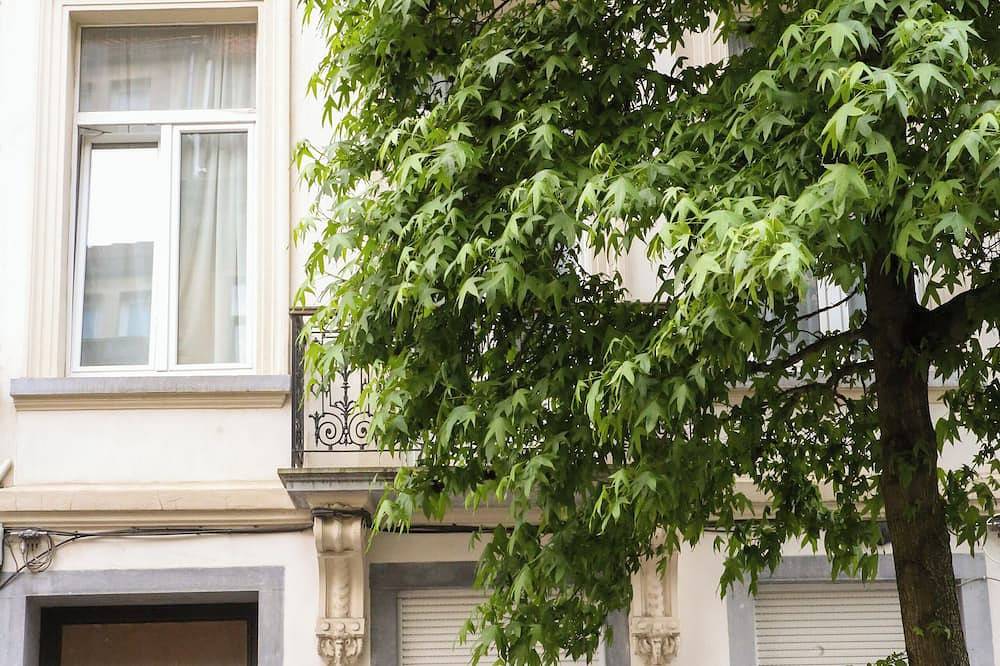 Entire apartment, Appartement Spacieux et Complètement Rénové in Schaerbeek - Schaarbeek, Flanders