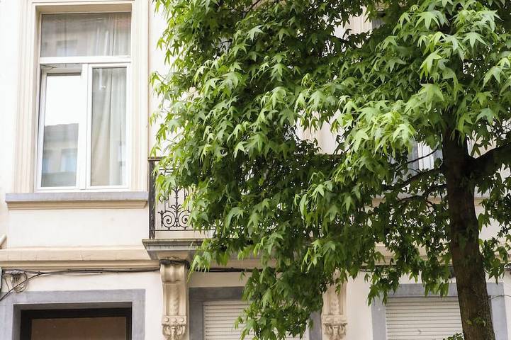 Gîte pour 3 personnes, avec Balcon à Schaerbeek