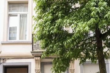 Gîte pour 3 personnes, avec balcon à Schaerbeek