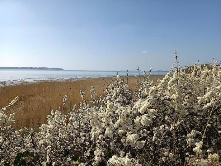 Location de vacances pour 3 personnes, avec jardin, animaux acceptés dans Quimiac - 3