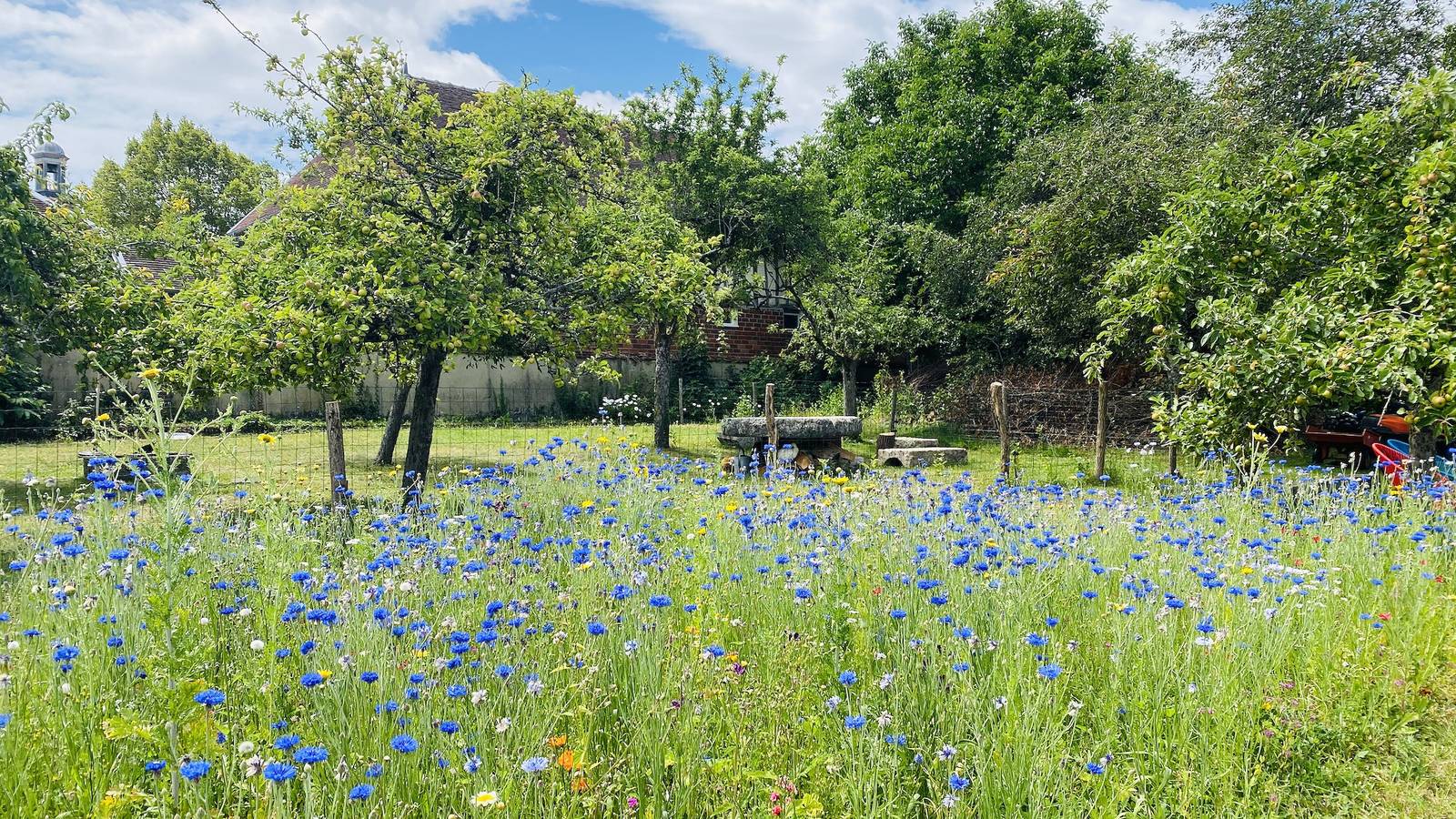 Le Gîte de Saint Phal in Saint-Phal, Aube (desambiguación)