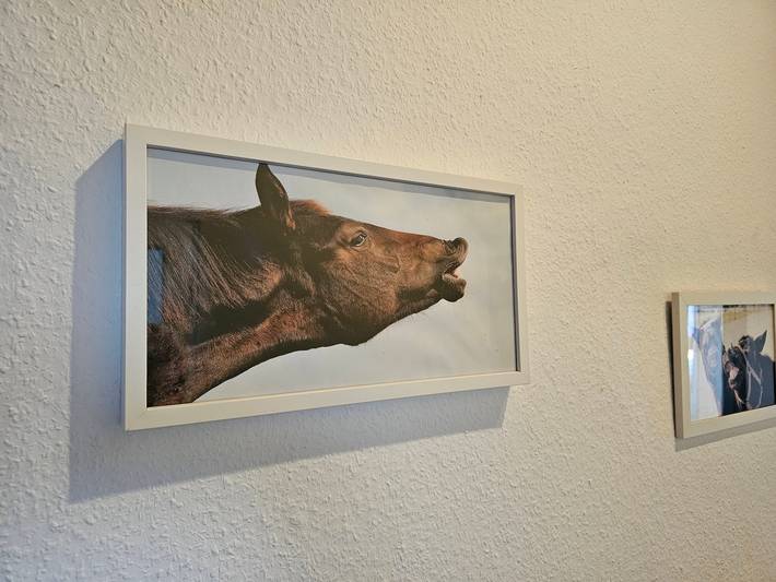Bauernhof für 7 Personen, mit Garten in Cuxland - 4