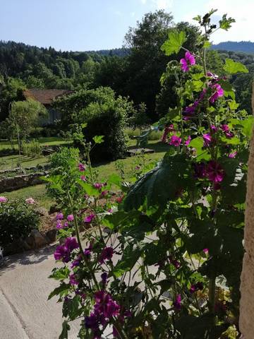 Chambre d’hôte pour 2 personnes, avec jardin dans les Vosges