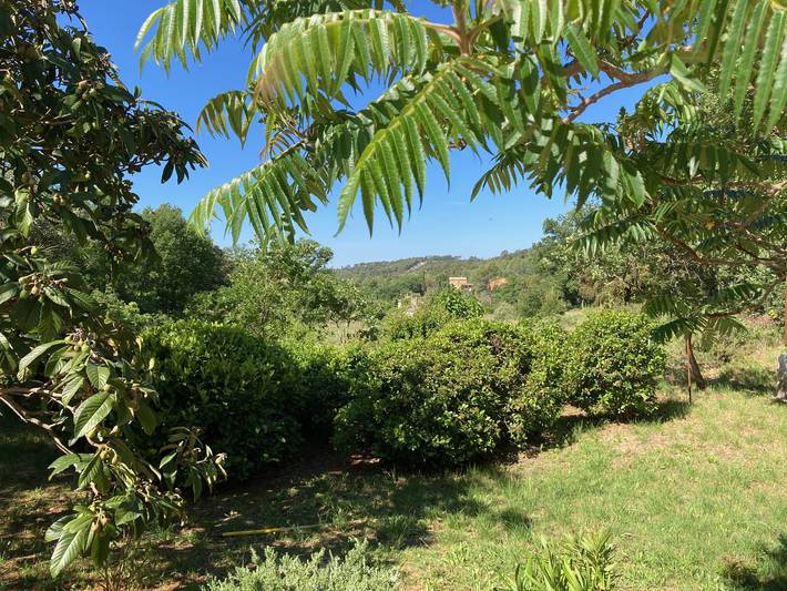 Gîte pour 6 personnes, avec piscine à Saint-Antonin-du-Var - 4
