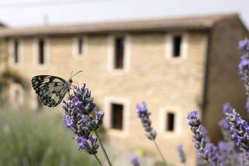 Gîte pour 4 Personnes dans Plavilla, Lauragais, Photo 1