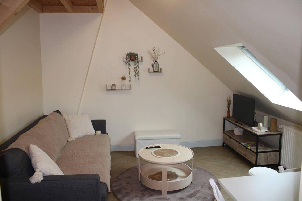 Appartement entier, One-Bedroom Apartment in Chinon, Vallée de la Loire