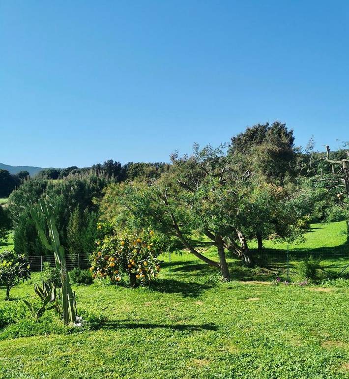 Location de vacances pour 4 personnes, avec vue et jardin à Peri - 4