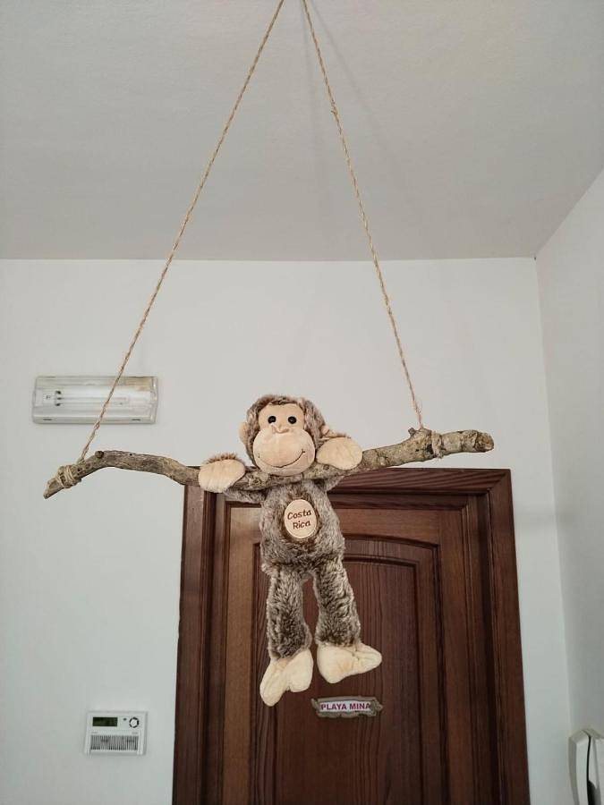 Chambre d’hôte pour 3 personnes, avec balcon et vue dans Torre del Lago Puccini - 2