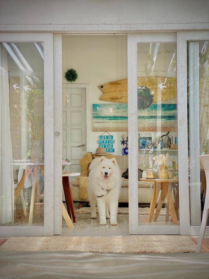 Casas e apartamentos de temporada para 3 pessoas, com terraço e jardim em Fernando de Noronha