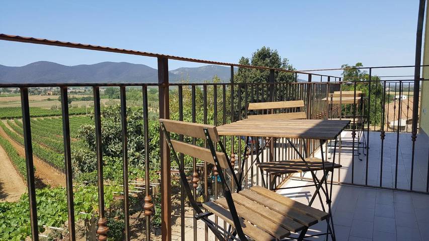 Agriturismo per 6 persone, con terrazza e giardino, con animali domestici in Magliano in Toscana