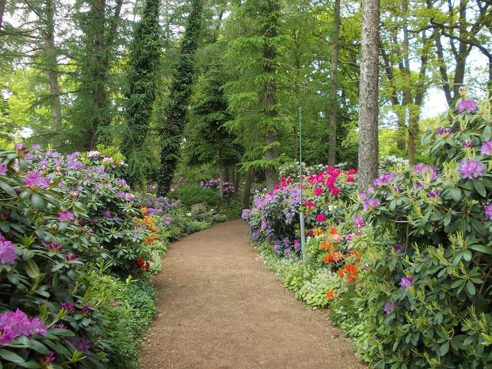 Ferienhaus für 4 Personen, mit Terrasse und Garten in Ammerland - 3