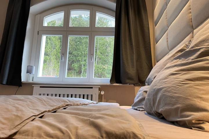 Ganze Wohnung, Ferienwohnung/App. für 3 Gäste mit 64m² in Goslar in Goslar, Harzvorland