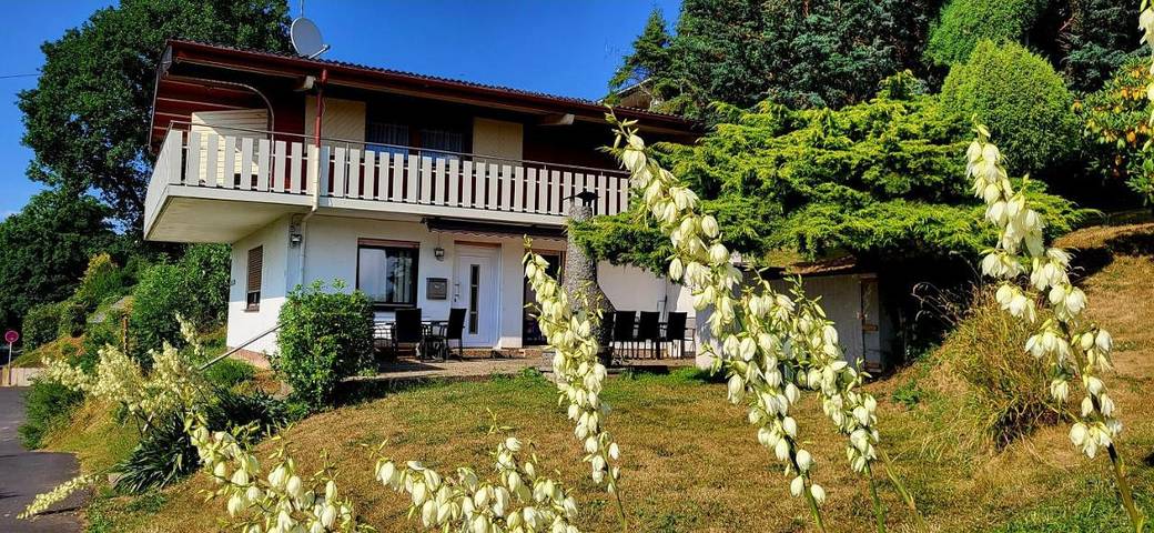 Ferienhaus für 13 Personen, mit Ausblick und Garten, mit Haustier in Schenklengsfeld